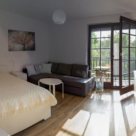 Apartament Kameralny كاجيمير دولنه المظهر الخارجي الصورة