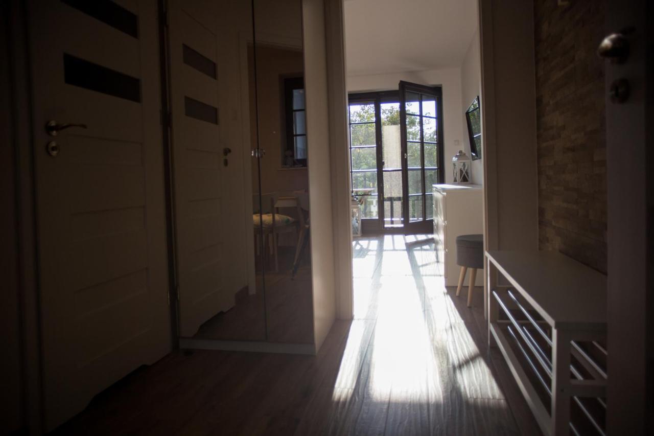 Apartament Kameralny كاجيمير دولنه المظهر الخارجي الصورة