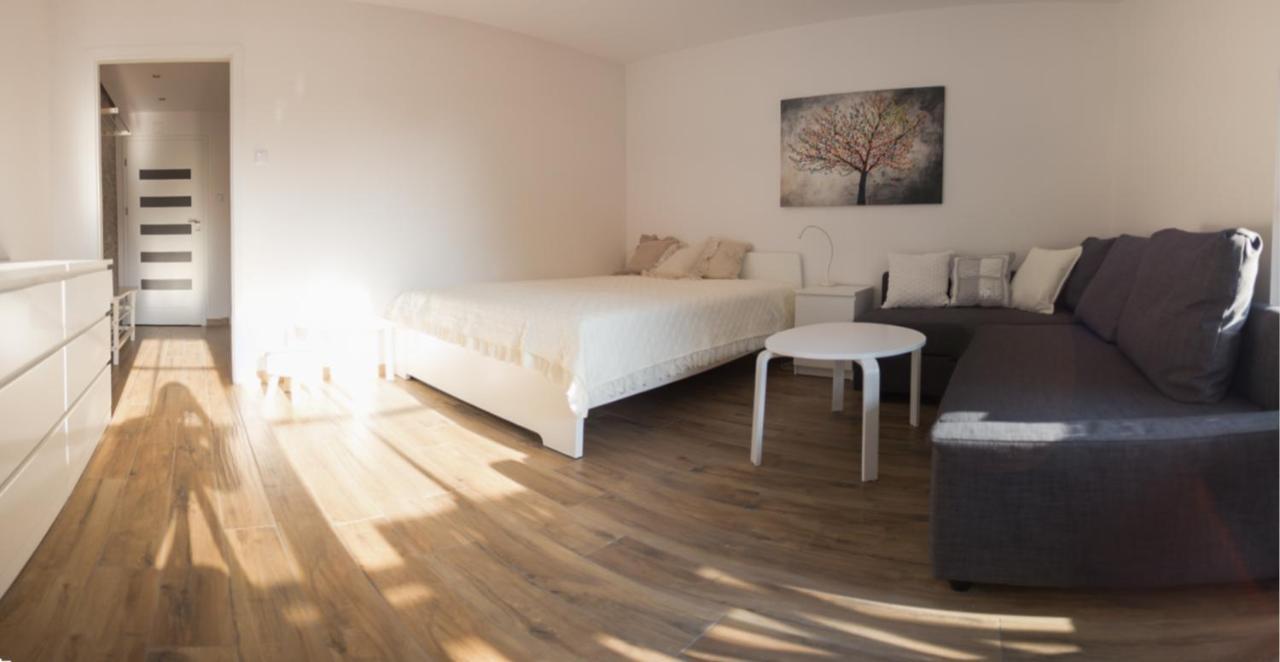 Apartament Kameralny كاجيمير دولنه المظهر الخارجي الصورة